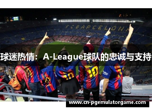 球迷热情：A-League球队的忠诚与支持